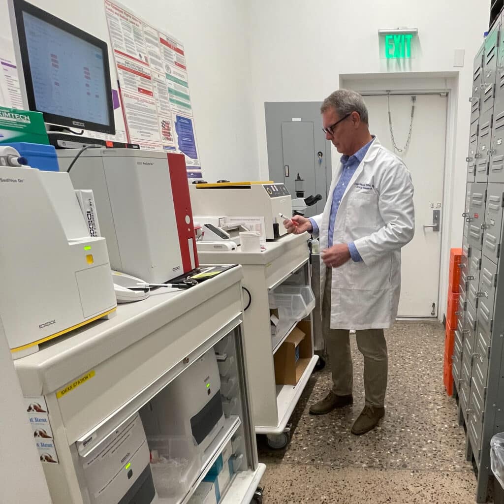 veterinary consultant team